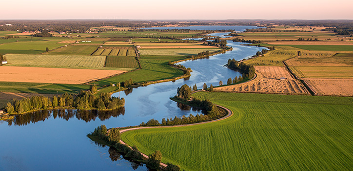 Ilmakuva kesäisestä peltomaisemasta